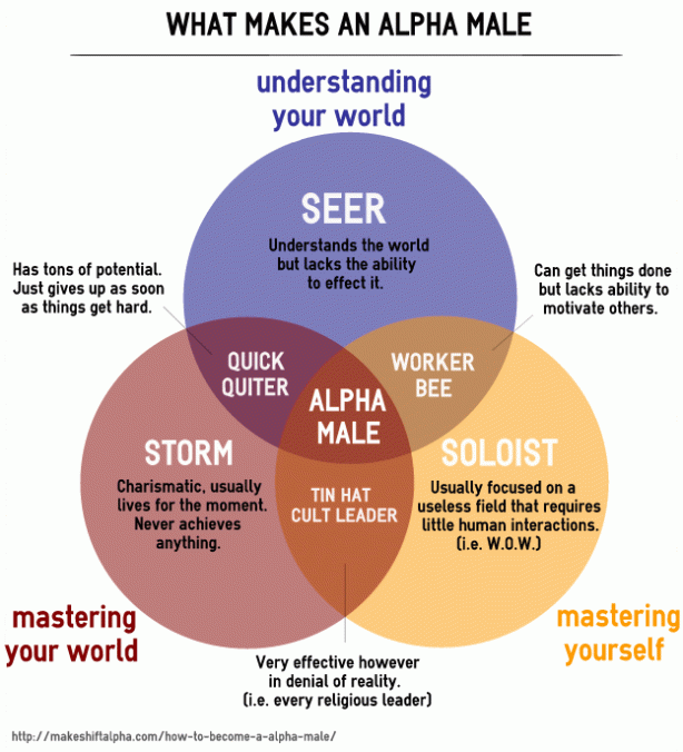 What makes an alpha male