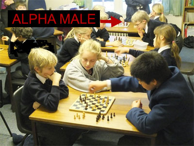 Alpha male chess club