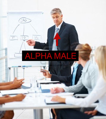 Alpha business man